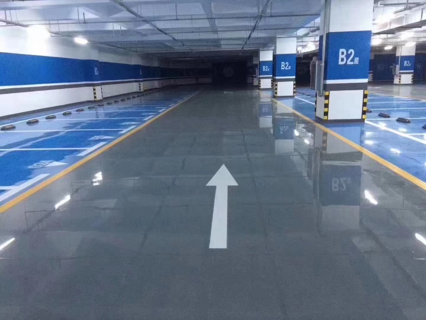 祝賀博歌建材簽約恒孚農(nóng)場1000㎡水泥自流平材料