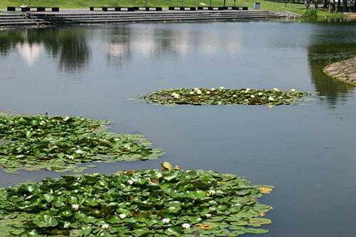 上海博歌-佘山團康活動